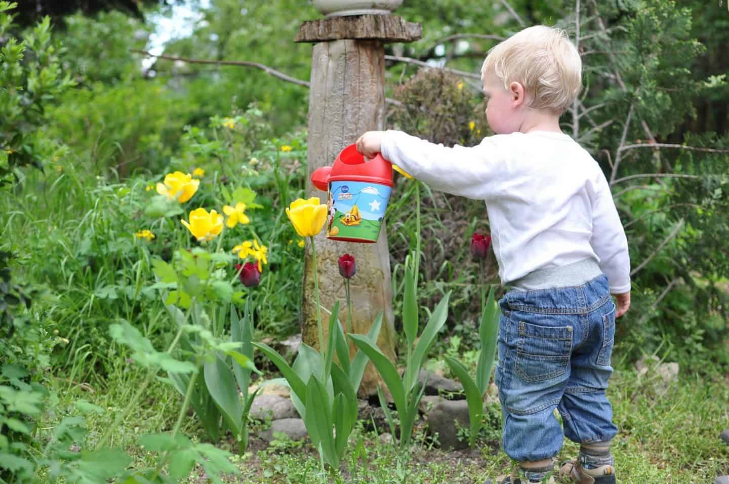 How to get kids involved in gardening